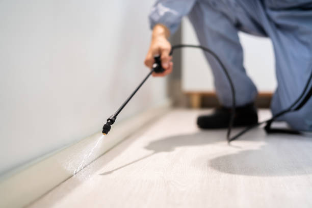 Licensed Pest Control service in Sam Rayburn, TX - Show Me Pest Control